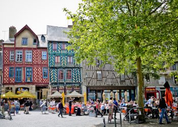 S’y retrouver dans les mutuelles rennaises : guide complet et astuces